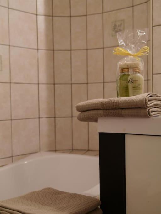 Apartmán Charming Flat In Historical Centre Dijon Exteriér fotografie