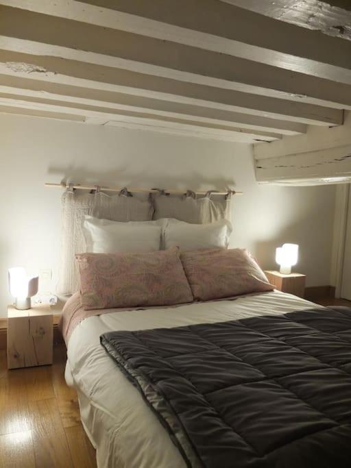 Apartmán Charming Flat In Historical Centre Dijon Exteriér fotografie